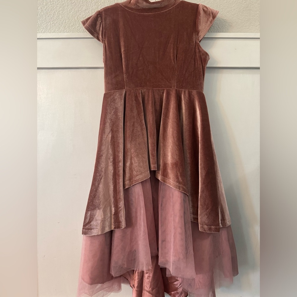 Joyfolie Velvet and Tulle Dress in Mauve